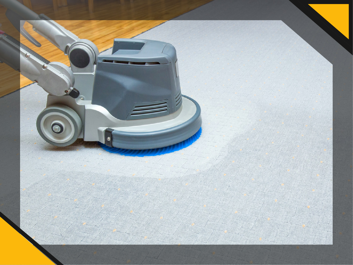 Bronx Oriental Rug Cleaning 20 off and Carpet and Rug Cleaning